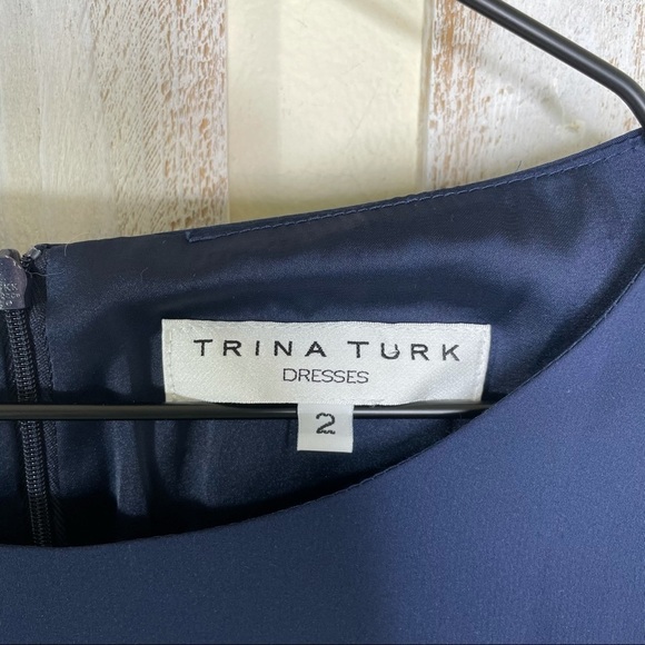 Trina Turk 'Flagimi' Multicolor Stripe Shift Dress - Picture 4 of 15